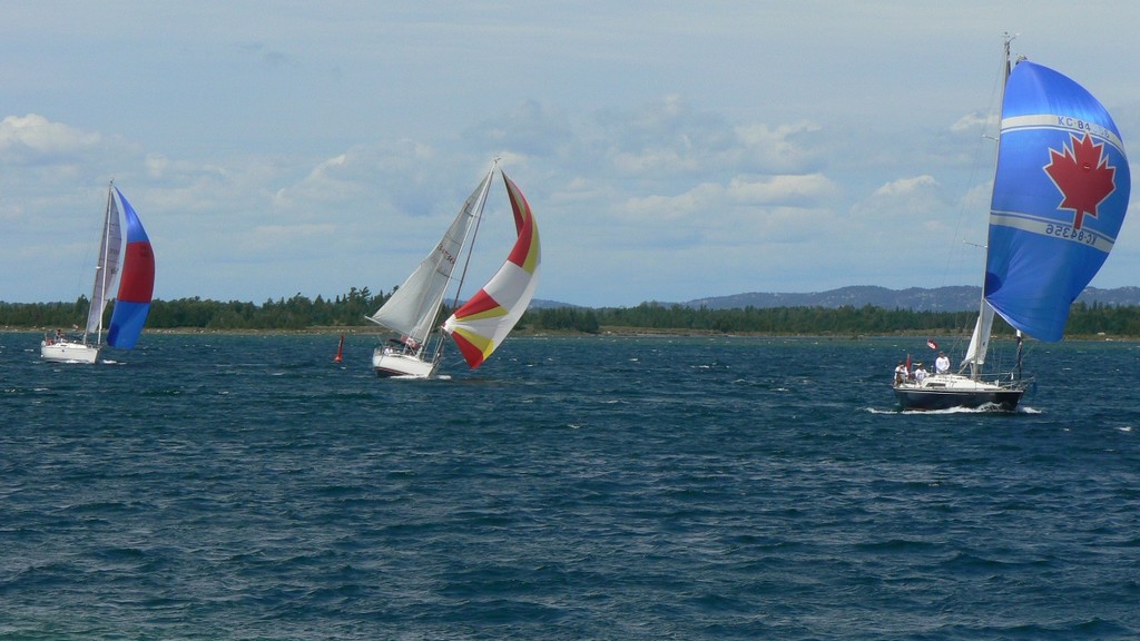 Mist, DevOcean and Blue Jacket running under spinnaker © Dave Naples